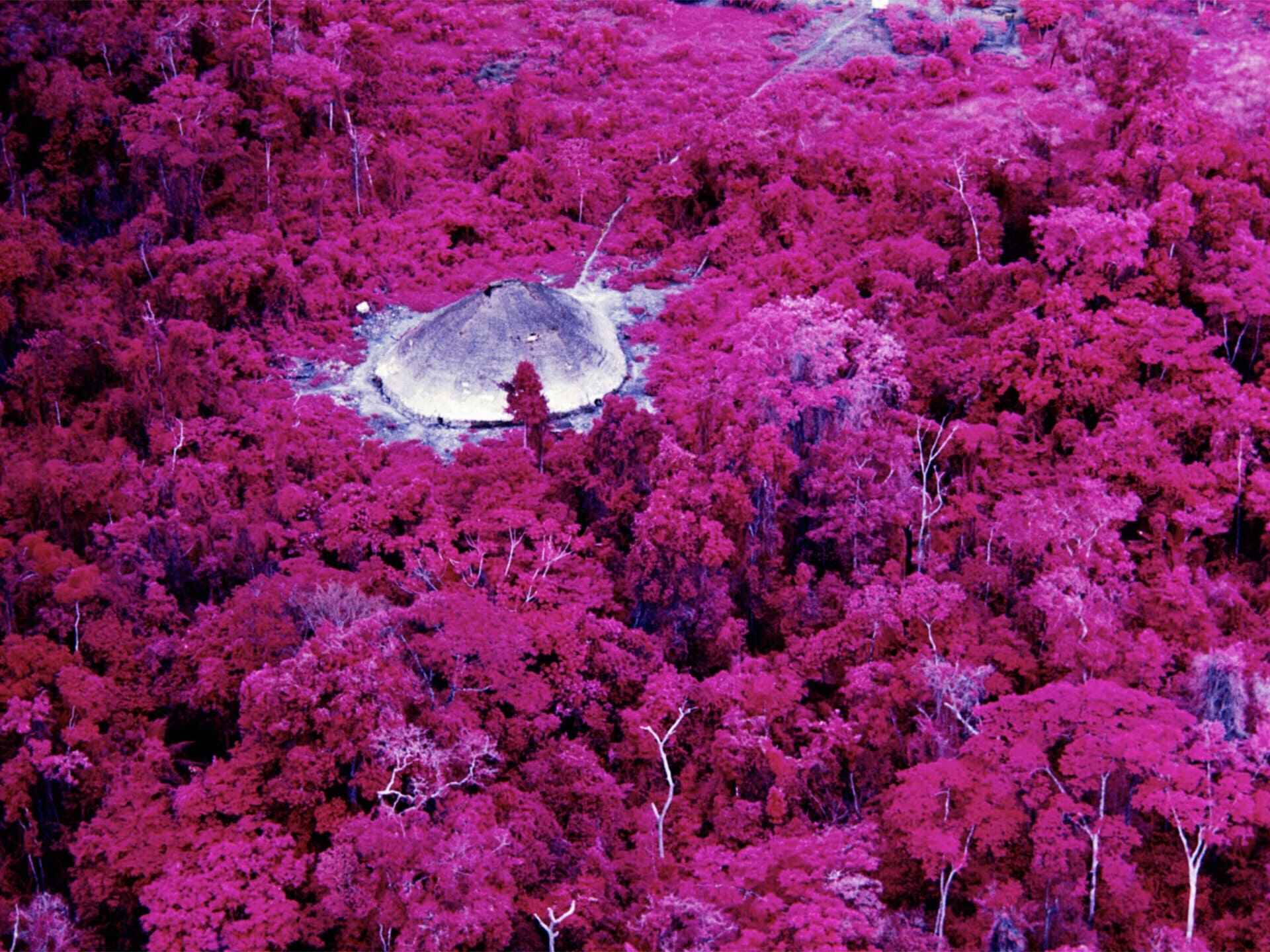 Galeria Vermelho + Claudia Andujar